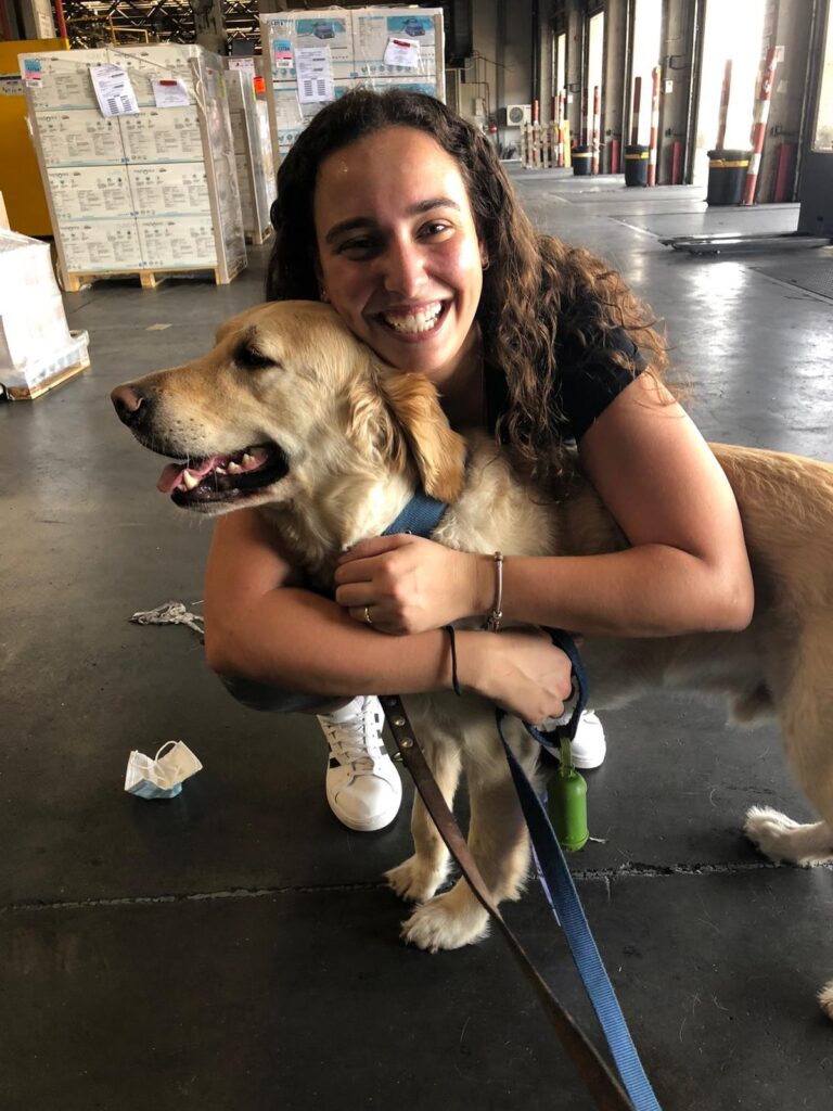 חושבים לטוס עם חיית המחמד שלכם לחו"ל?